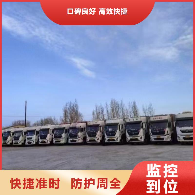 巢湖到临清牛运输优质