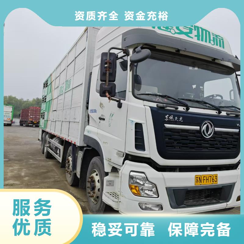 焦作到三明种猪运输零延误配送