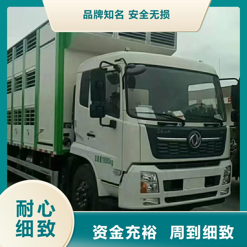 宁波到天津小猪运输合作广泛