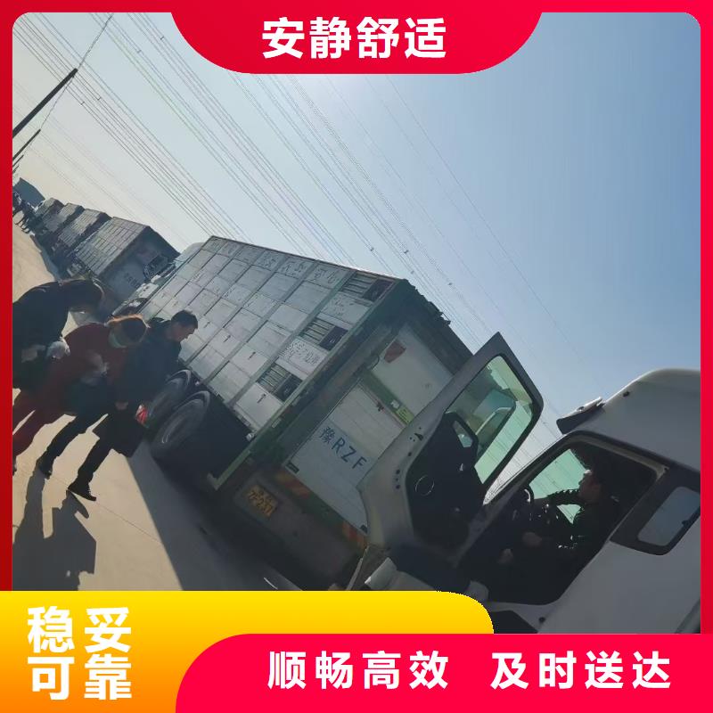 江苏到三明猪运输资源充足