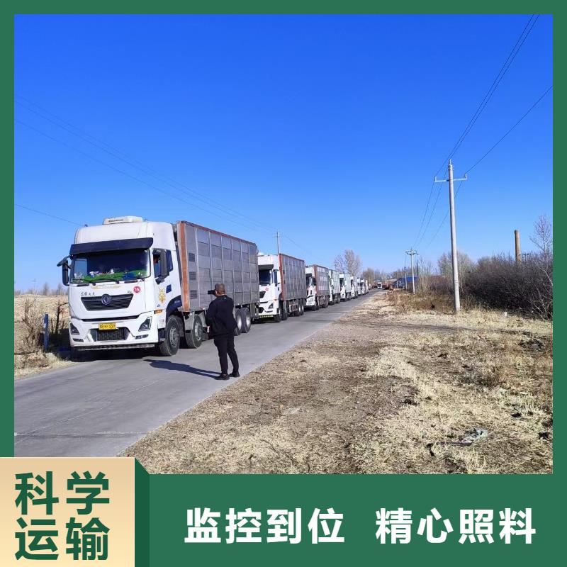 宿州到泸州仔猪恒温车运输托运笼具