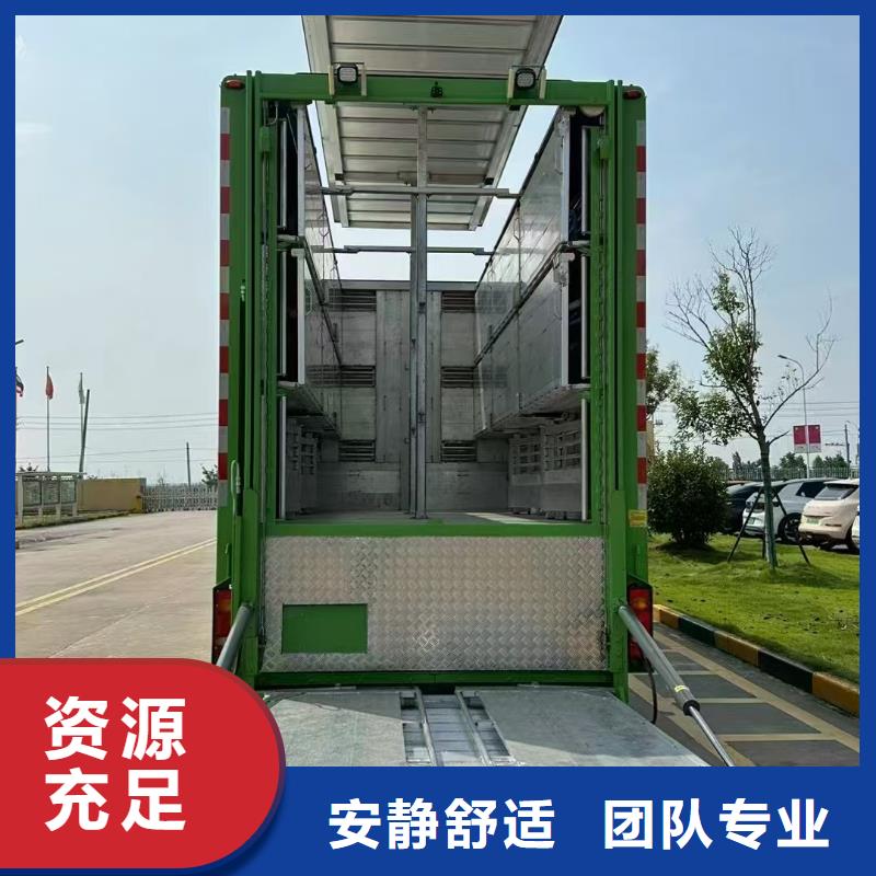 徐州到凉山生猪恒温车运输短途速运