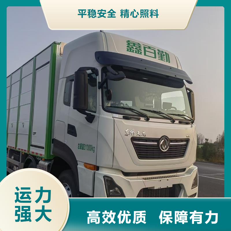 安庆到恩施仔猪空调车运输托运极速直达