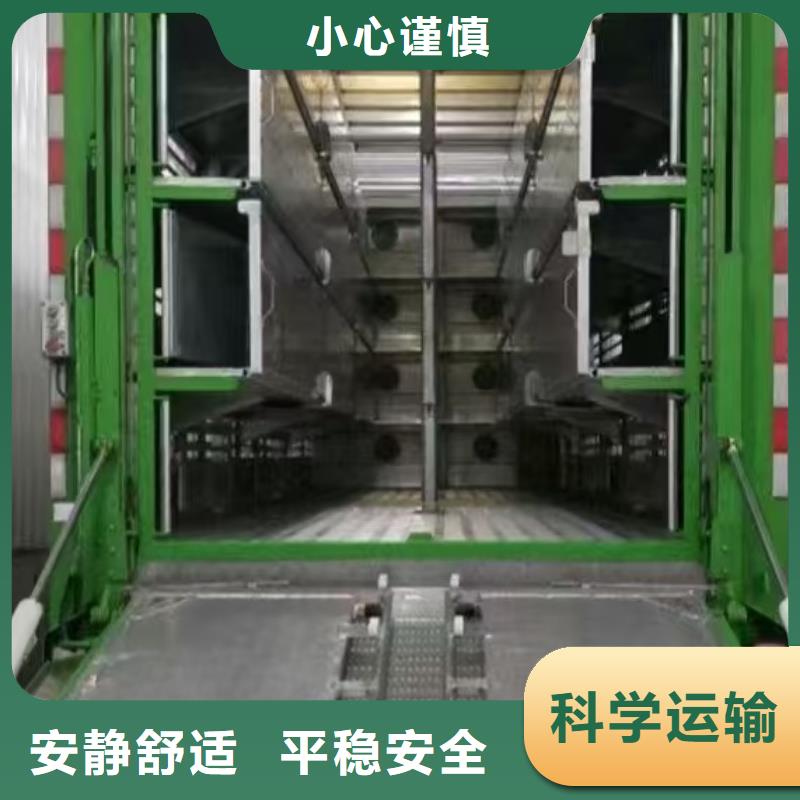 常州到德阳仔猪空调车运输全程供氧