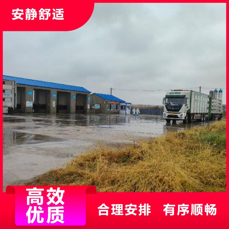 台州到吕梁恒温车运输行业领先