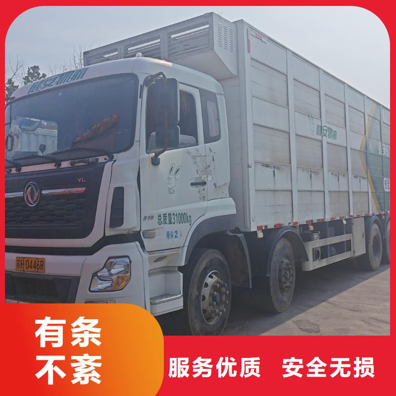 扬州到仙居猪牛羊运输保障有力