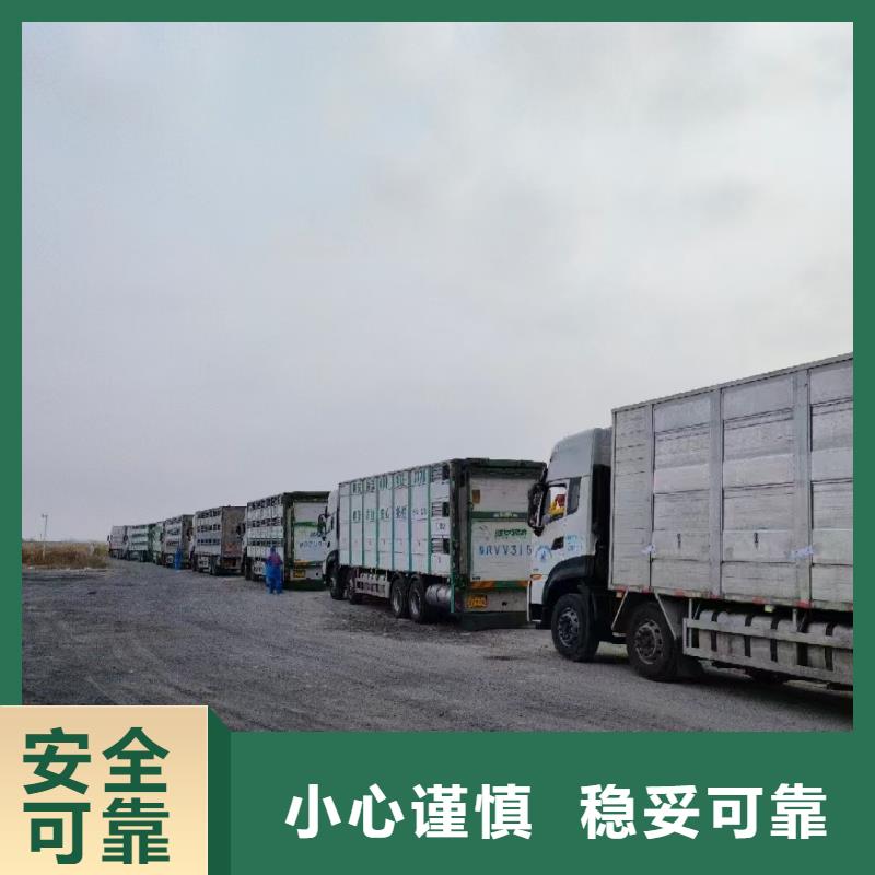 宿迁到太和生猪运输全程高速