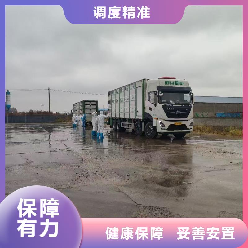 扬州到临海生猪运输及时送达