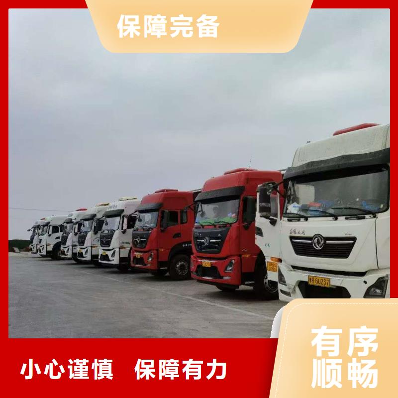 连云港到抚顺二育运输精心照料