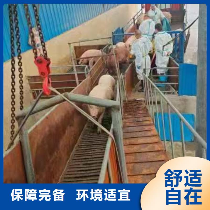 无锡至佛山畜禽运输【专车直送】?