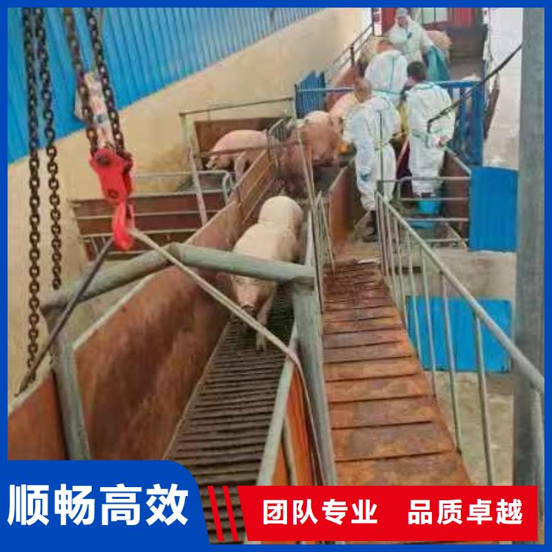 潍坊到铜陵猪笼车运输品牌知名