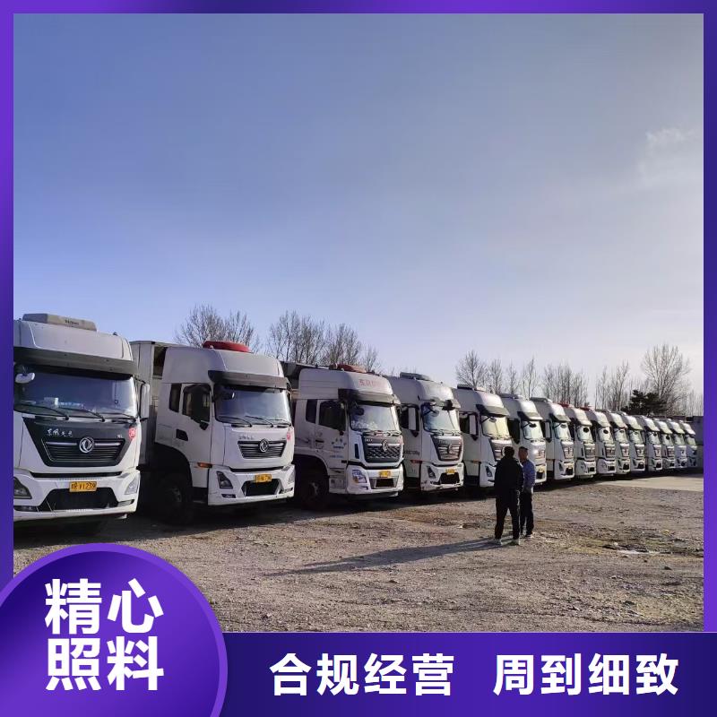 宿迁市沭阳到巢湖牲畜运输周到细致