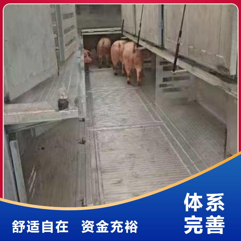 常州到衡阳羊运输防交叉污染