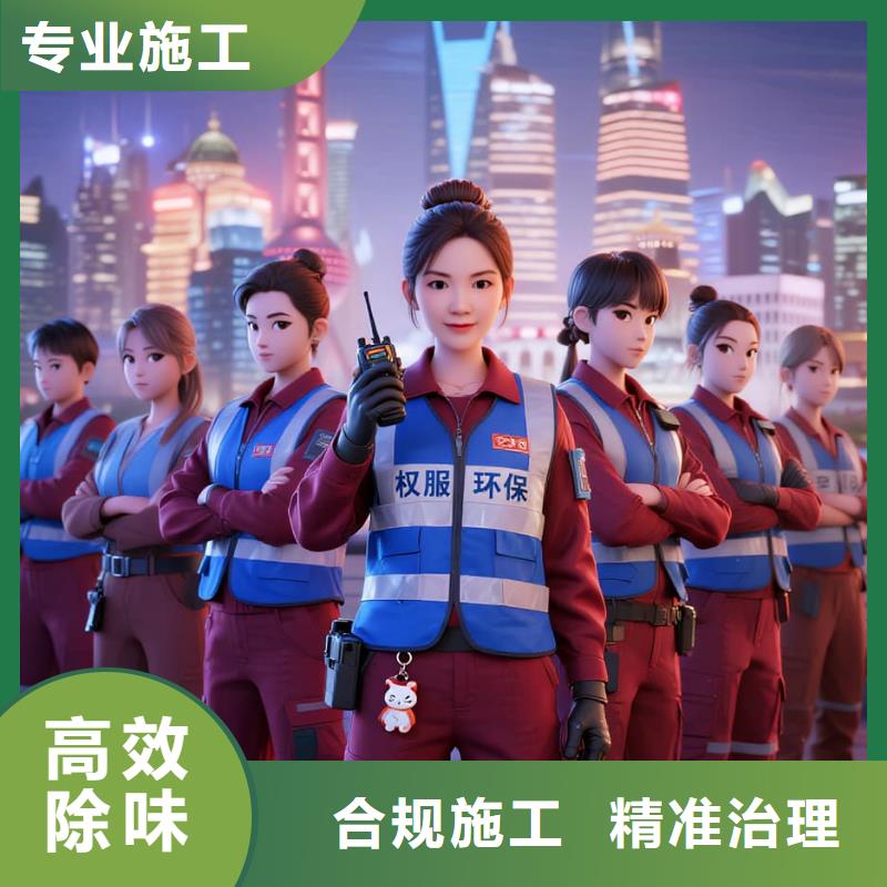 金川空净猫上门除甲醛除苯全国品牌直营上海奉贤区新房楼盘 上门除甲醛公司 空净猫全国直营源头治理