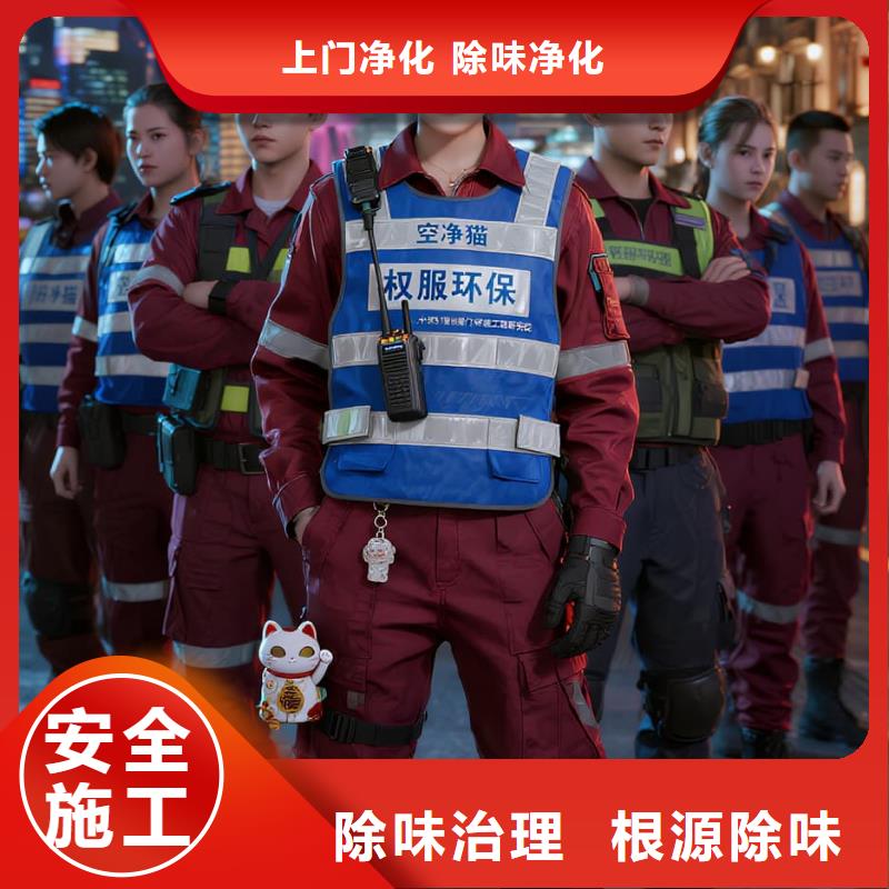 峄城上门除甲醛检测治理找空净猫全国直营品牌盐城亭湖区金鹰聚龙湖商圈 上门除甲醛公司 空净猫全国直营无扰施工