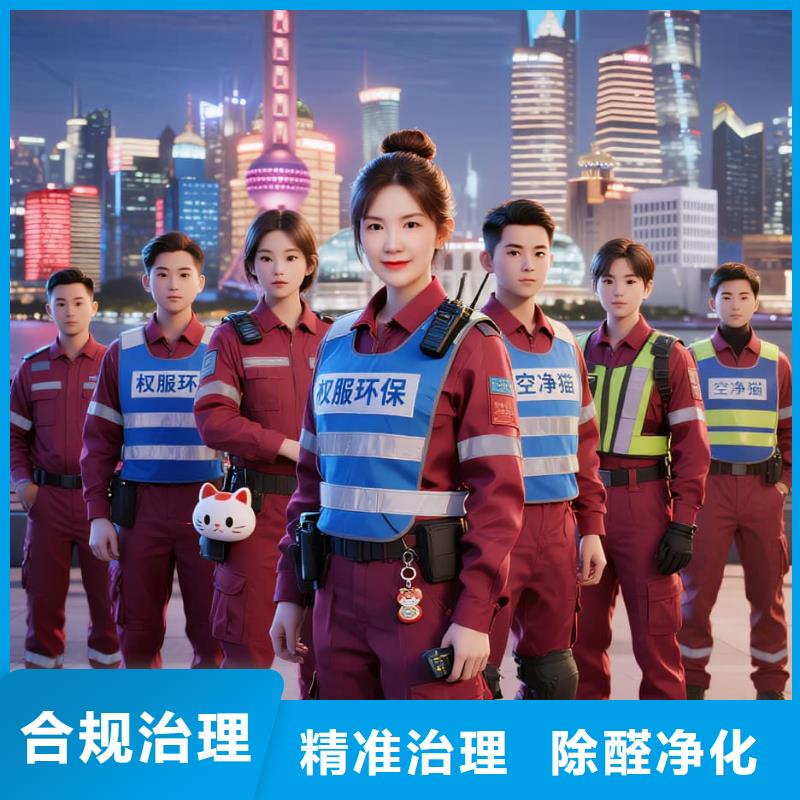 庆安上门除甲醛检测治理找空净猫全国直营品牌南京江宁区东山商圈 上门除甲醛公司 空净猫全国直营专业施工