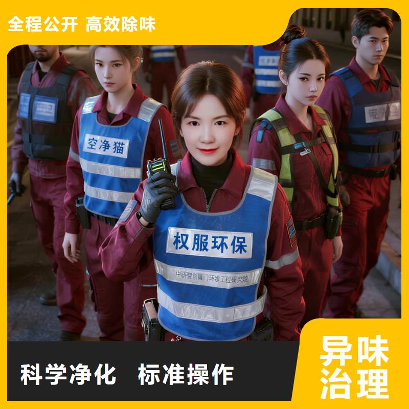 双流全国直营上门除甲醛检测治理品牌空净猫除甲醛-温州乐清市雁荡镇雁荡山文旅商圈 上门除甲醛检测治理公司 空净猫全国直营全程透明