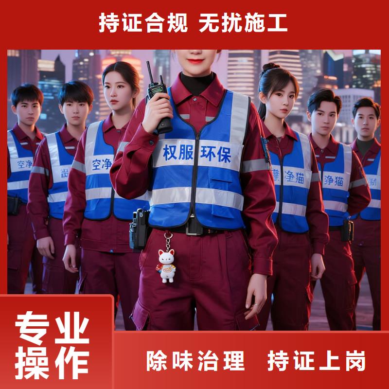 偃师全国直营上门除甲醛检测治理品牌空净猫除甲醛石家庄市中山路-平安大街商圈 上门除甲醛检测治理公司 空净猫全国直营诚心治理