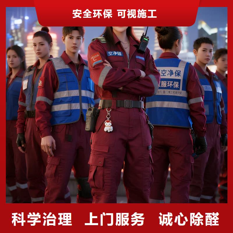 武清全国直营上门除甲醛检测治理品牌空净猫除甲醛厦门市中山路商圈 上门除甲醛检测治理公司 空净猫全国直营合规达标