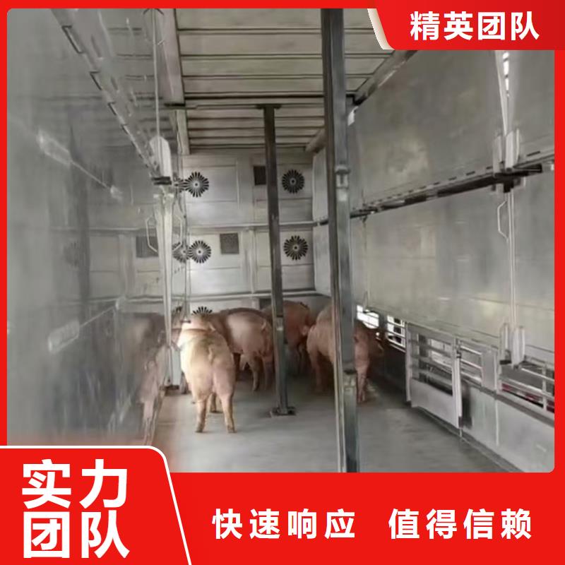 浙江到宣城生猪运输