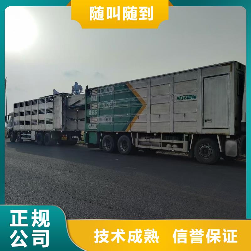 淮南至宣城种猪运输空调车服务至上