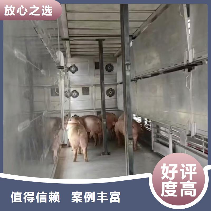 芜湖到山东仔猪运输恒温车服务热情