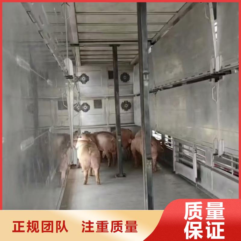 宿迁泗洪到东营空调车运输透明