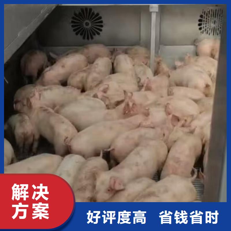 滁州到聊城猪牛羊运输空调车服务周到