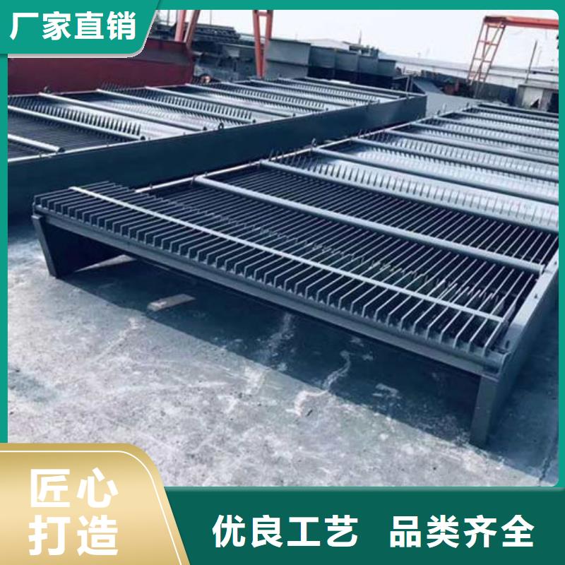 循环式齿耙清污机品质之选本地范围生产商