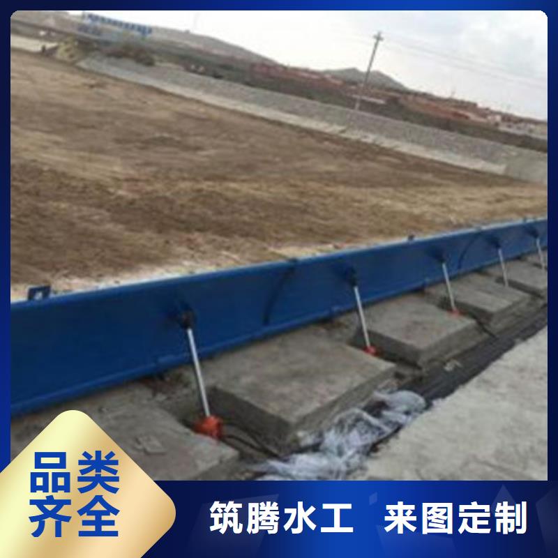 液压合页坝厂家直发追求细节品质