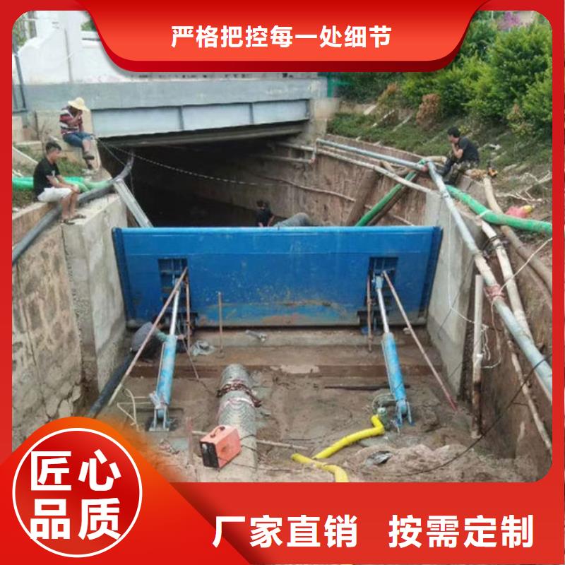 液压合页坝规格齐全实力厂家周边生产厂家