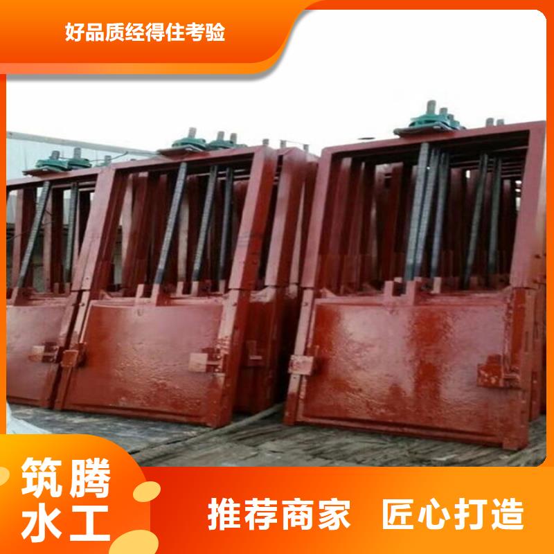 临沂雨污分流闸门产品细节参数