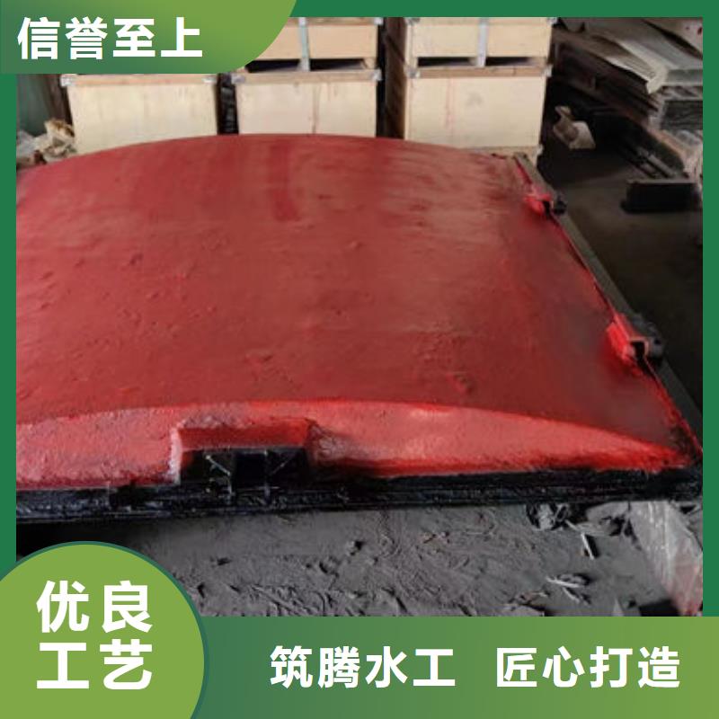 雨污分流闸门严谨工艺满足客户所需
