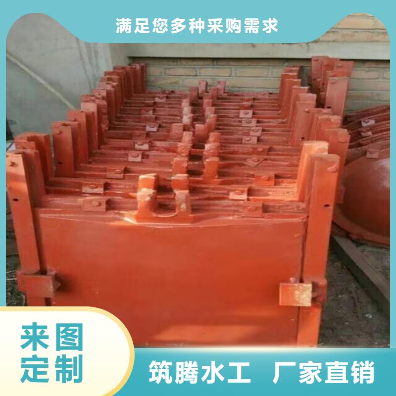 机闸一体式闸门我们更专业本市供应商