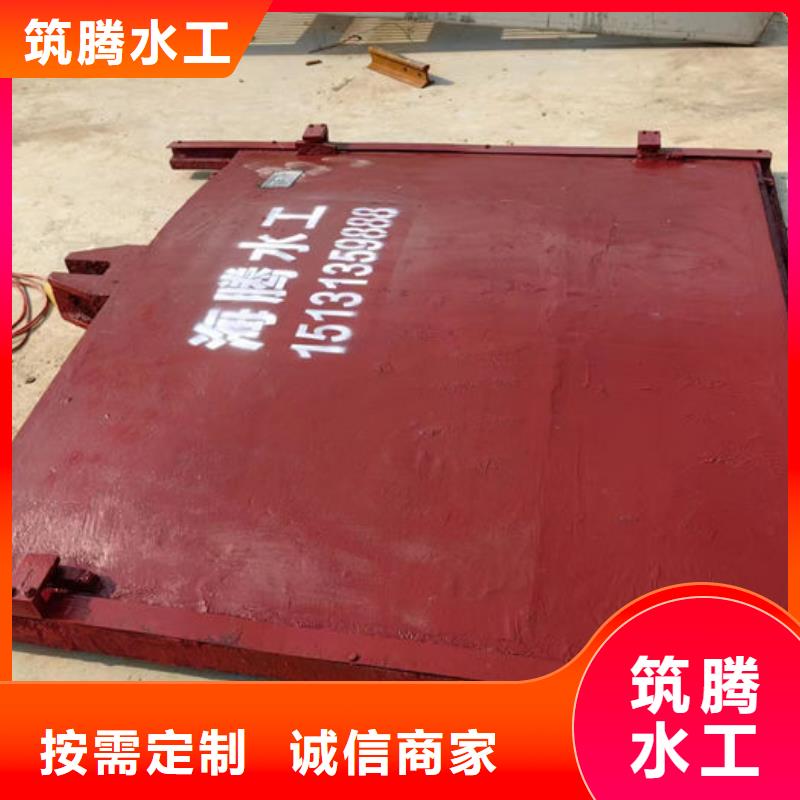 西双版纳渠道闸门真诚合作