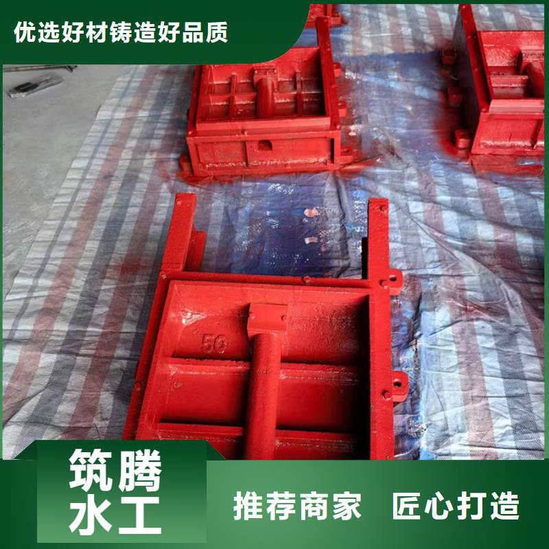 平面铸铁闸门厂家直营本地区品牌