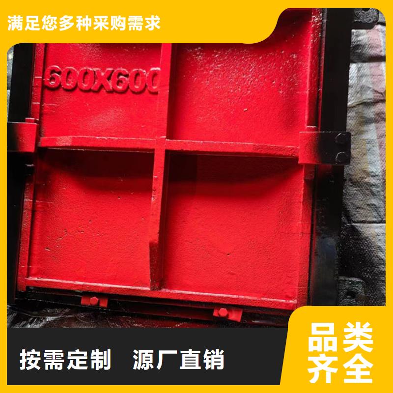 榆林河道闸门颜色尺寸款式