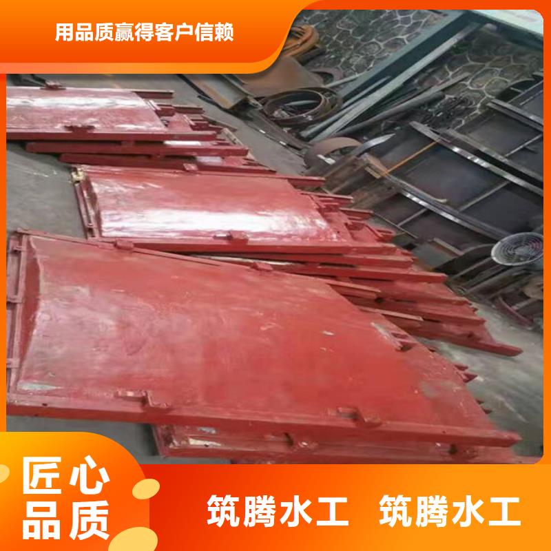 铸铁镶铜闸门型号齐全生产厂家