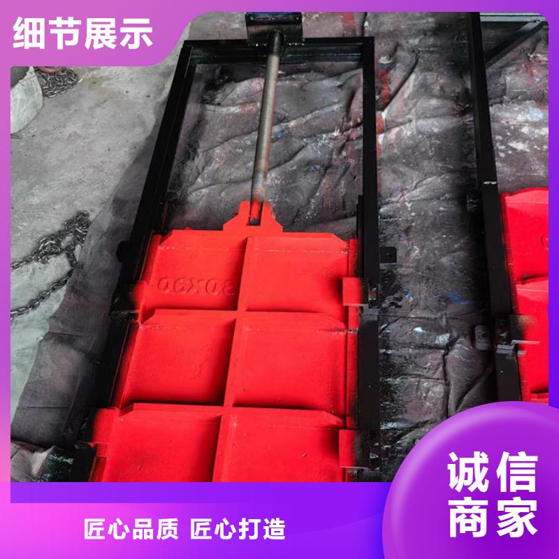 保定铸铁镶铜闸门贴心服务