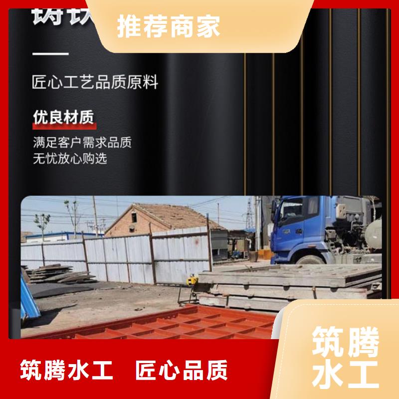 平板铸铁闸门一站式采购方便省心同城区域厂家