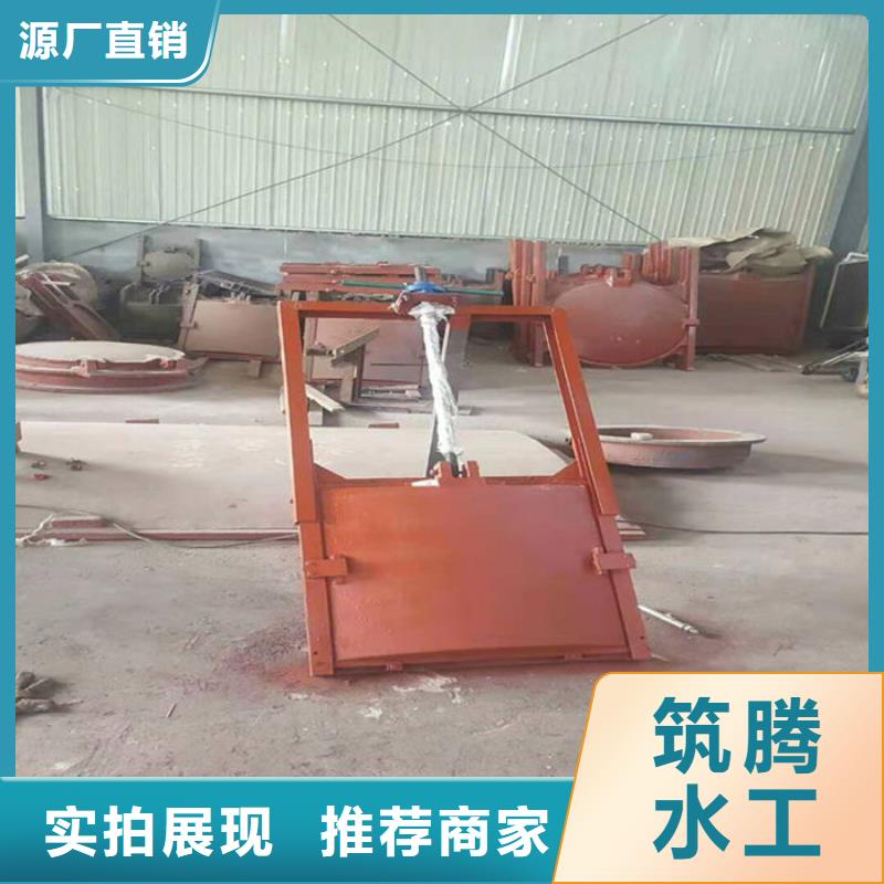 雨污分流闸门选择我们没错款式多样