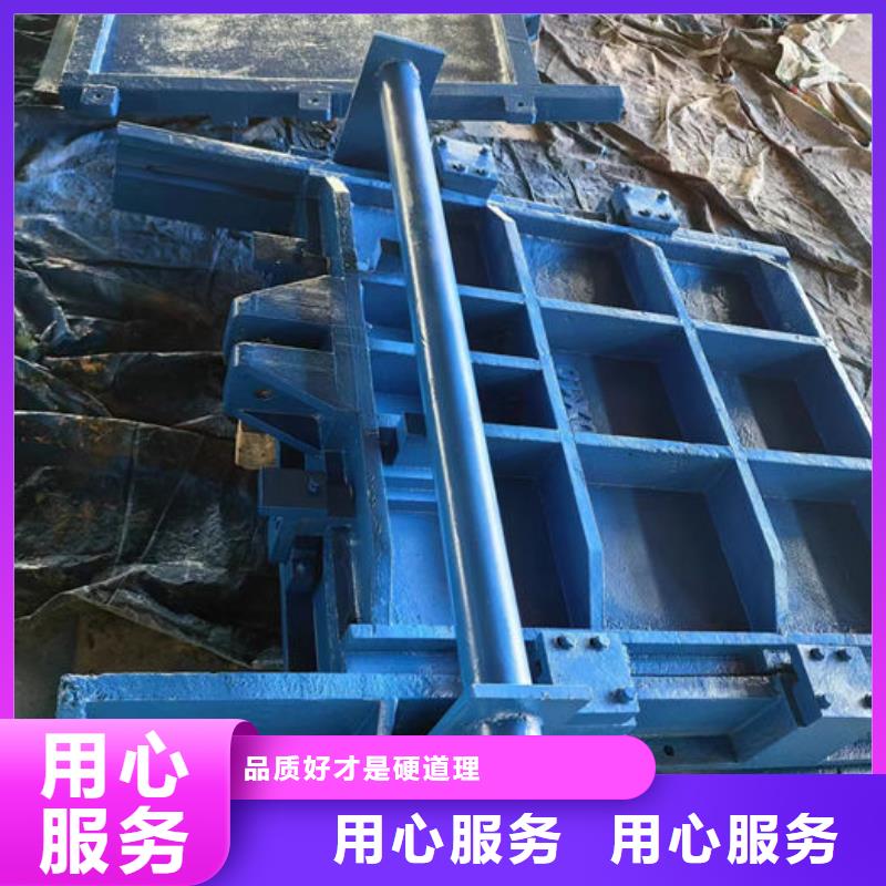 那曲平面铸铁闸门敢与同行比服务