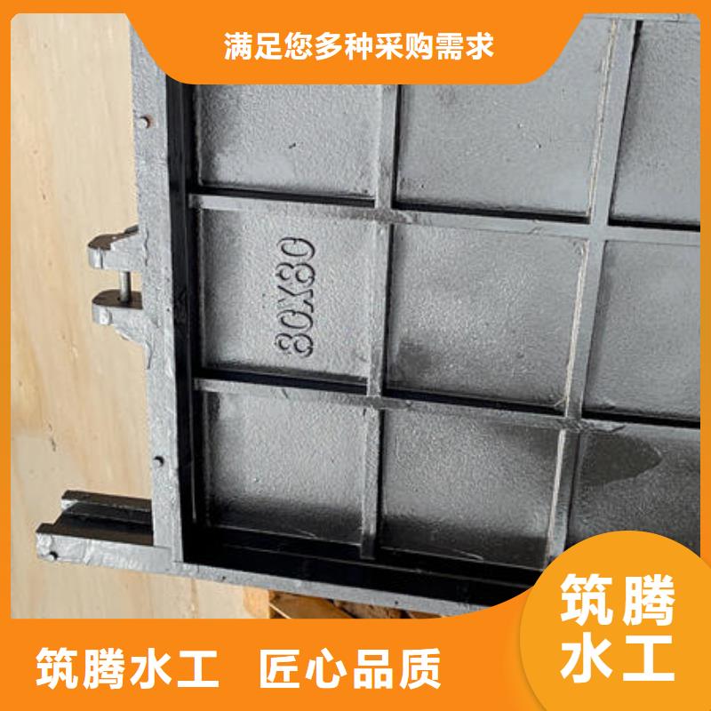 沧州铸铁闸门-铸铁镶铜闸门诚信商家服务热情