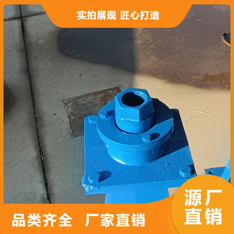 成都螺杆启闭机手电两用螺杆式启闭机厂家案例