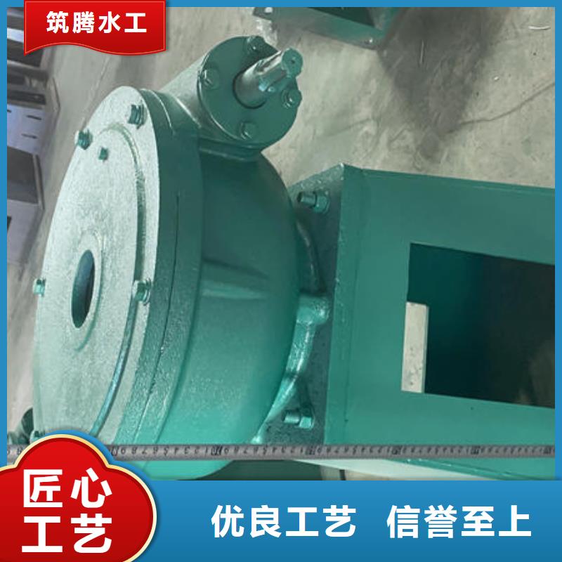 呼和浩特螺杆启闭机直流电启闭机用心做好细节