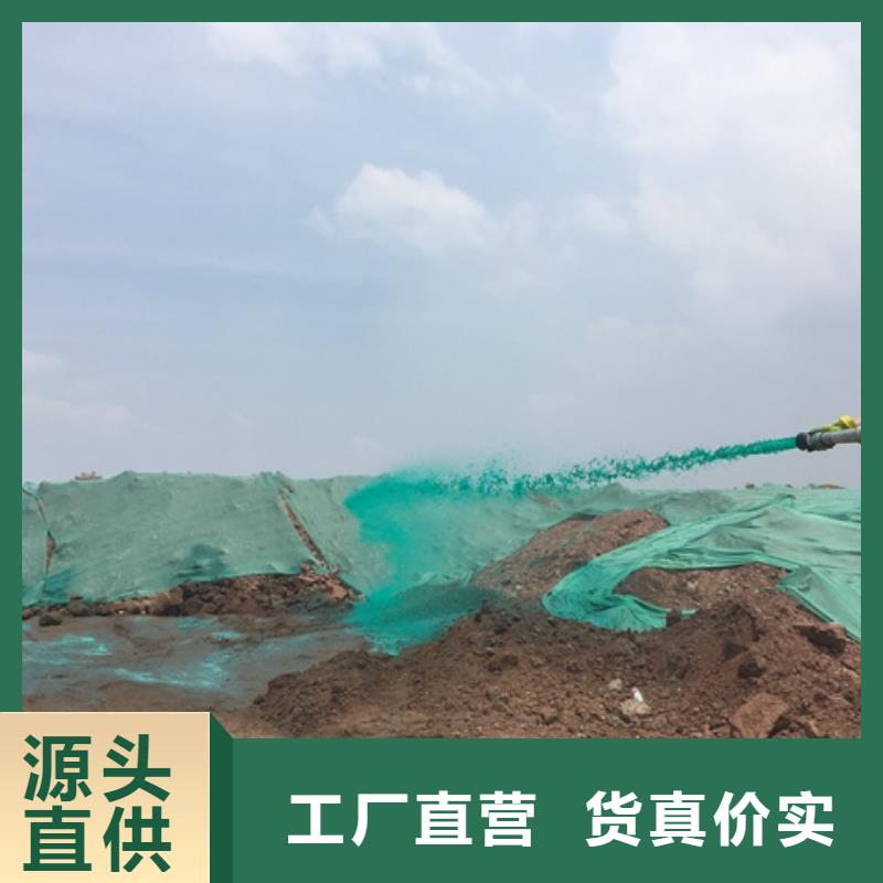 旅顺口环保结壳抑尘剂全国专线直发