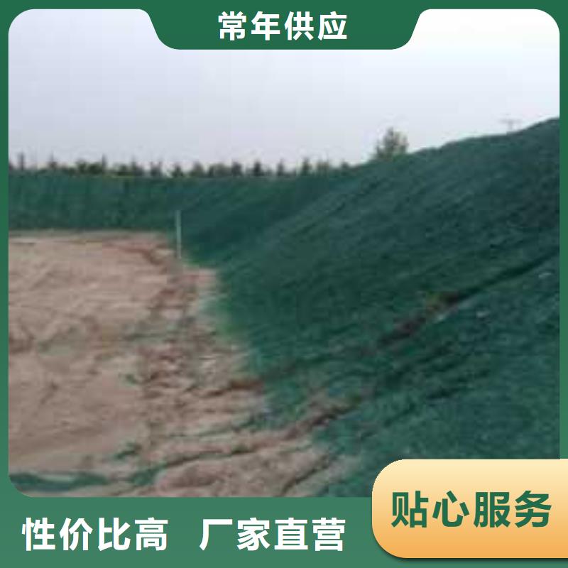 庄河结壳抑尘剂生产加工