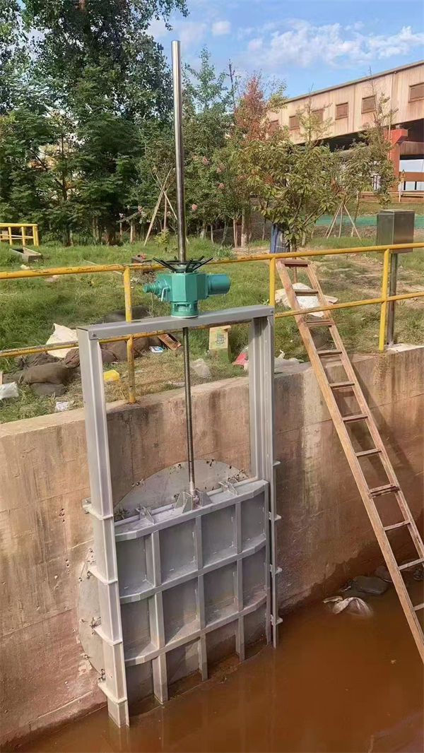 海南水电站铸铁闸门厂家