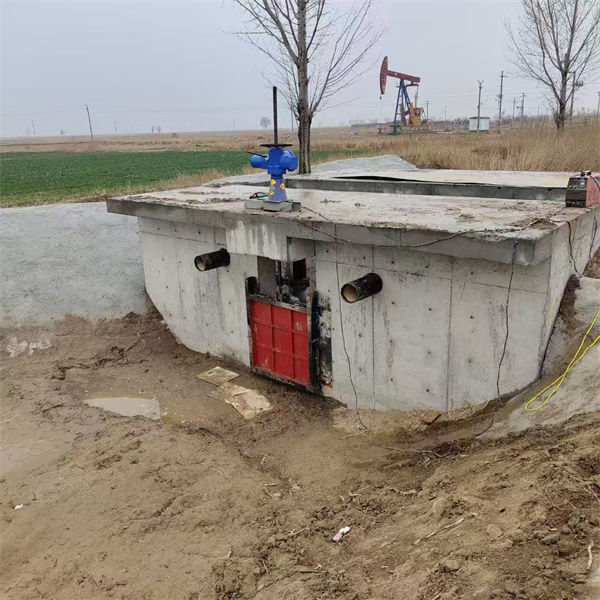 闸门启闭机生产厂家一件也发货