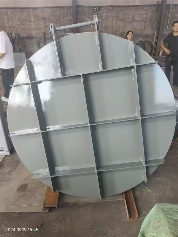 儋州市不锈钢拍门畅销全国闪电发货